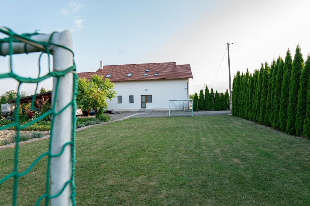 Pensiunea Gassi Sancraiu de Mures Bagian luar foto