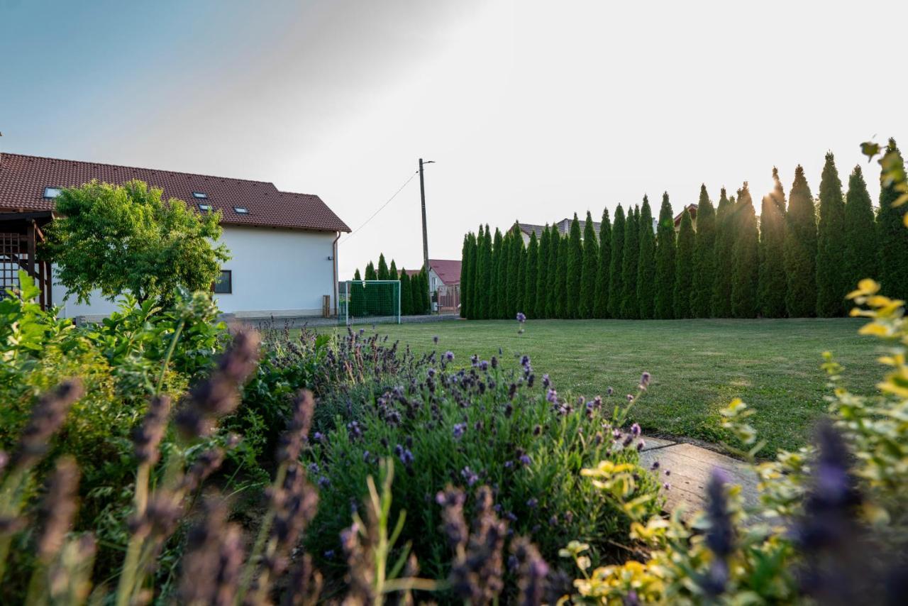 Pensiunea Gassi Sancraiu de Mures Bagian luar foto